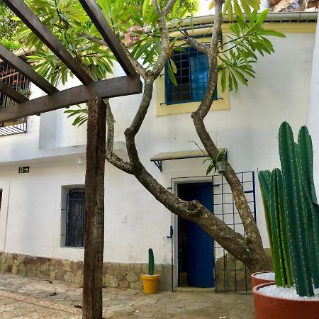 Guest House & Art Gallery Olinda Dış mekan fotoğraf